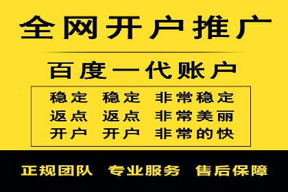 电商SEM推广案例解析